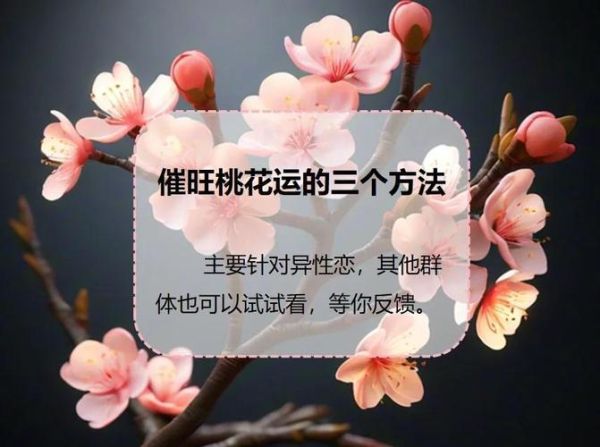 桃花运就是财运吗_如何转化