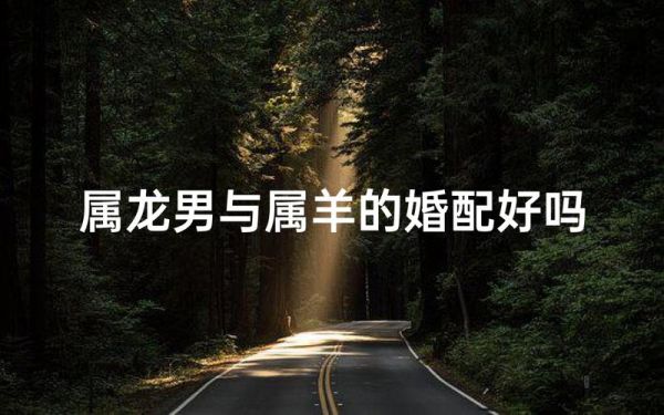 女属龙男属羊婚配好吗_属龙女和属羊男能过一辈子吗