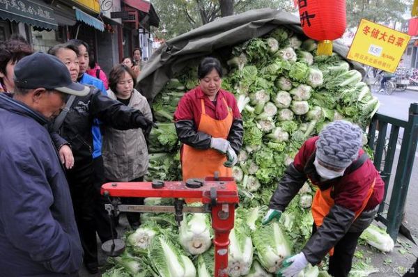 梦到买白菜是什么意思_梦到买白菜预示什么