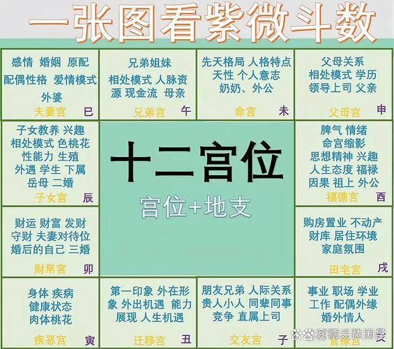 紫微斗数看流年运势_2025年事业财运如何