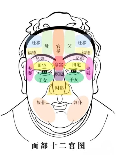 五官运势怎么看_五官运势准吗