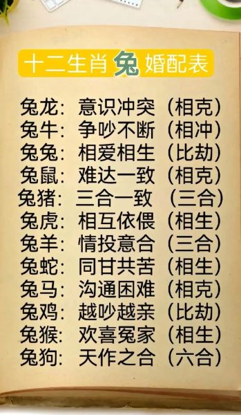 属兔和什么属相合作最好_属兔合作禁忌属相