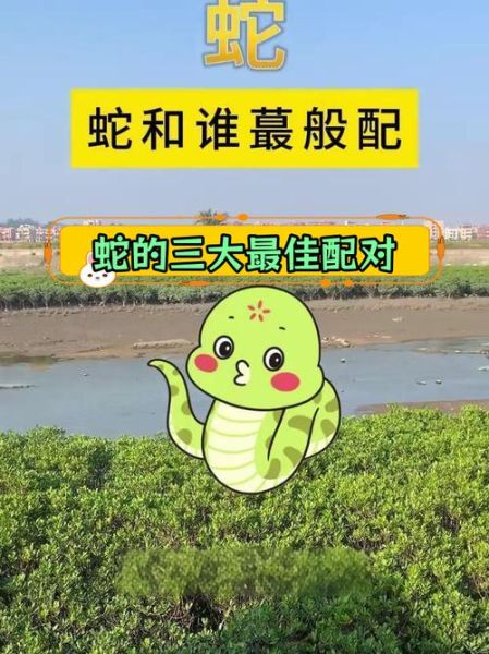 蛇和什么属相合_属蛇最佳婚配属相有哪些