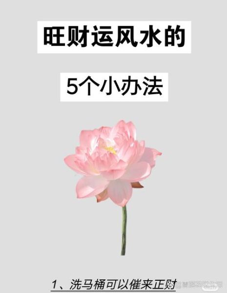 财运不好怎么办_运气不好如何转运