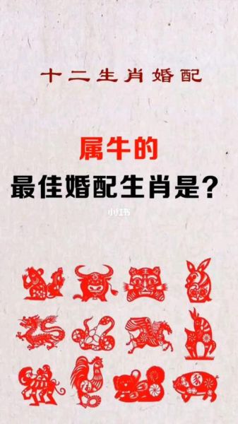 男属牛和什么属相最配_属牛男最佳婚配属相