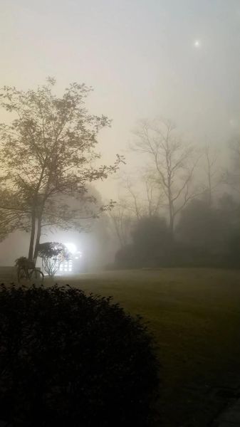 女人梦到大雾是什么意思_女人梦见大雾预示什么