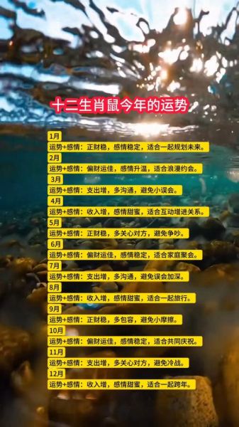 鼠属相好吗_属鼠人2024年运势如何