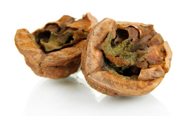 梦到核桃碎了_预示什么