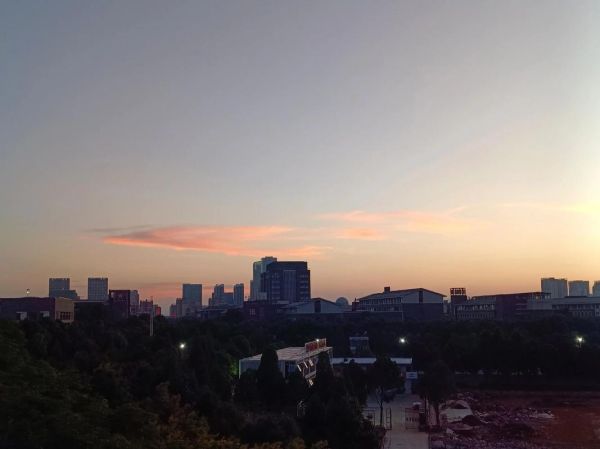 梦到不上学是什么意思_梦见逃课预示什么