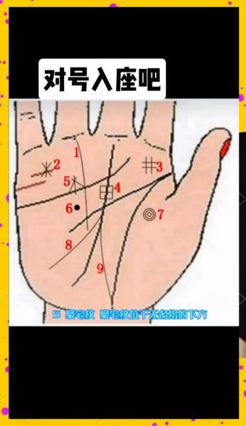 首相财运线怎么看_首相财运线准吗