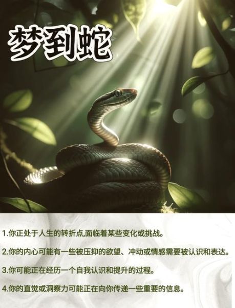 梦到打死蛇是什么意思_梦见杀蛇预示什么