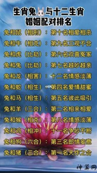 虎兔属相合不合_虎兔婚姻能长久吗