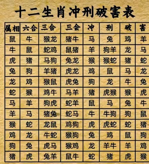 哪些属相不能在一起_生肖相冲配对禁忌