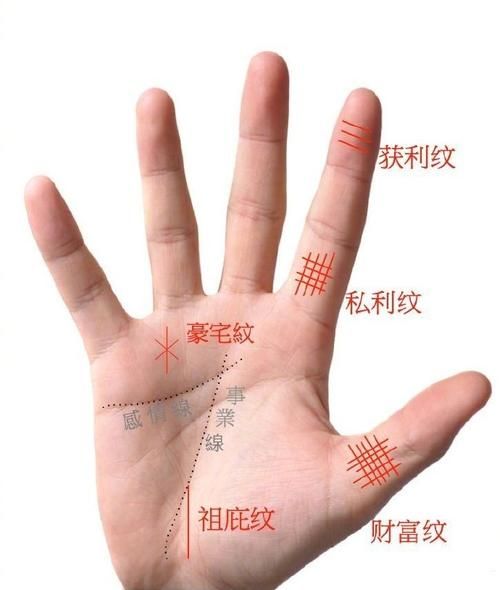 哪种手纹财运最好_手相财富线怎么看