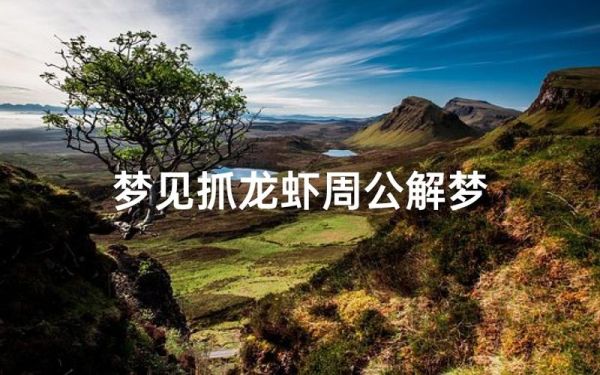 梦到大龙虾是什么意思_周公解梦龙虾预示什么