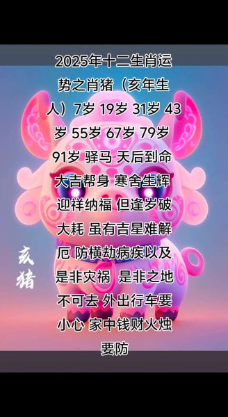 属猪人一生运势如何_属猪人财运旺吗