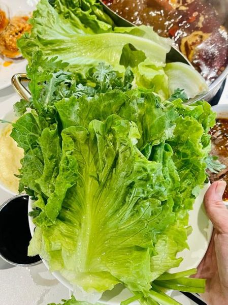 梦到吃菜是什么意思_梦见吃青菜好不好