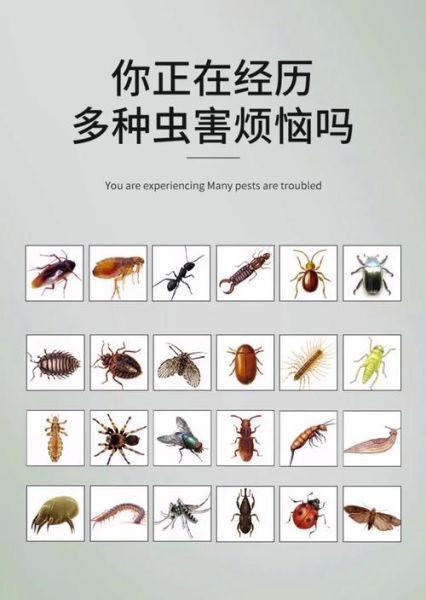 梦到好多驱虫_什么预兆
