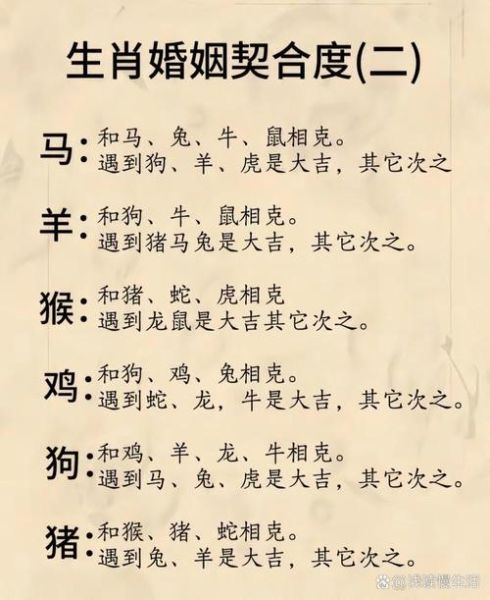 属鼠最佳婚配属相有哪些_属鼠和什么属相最合