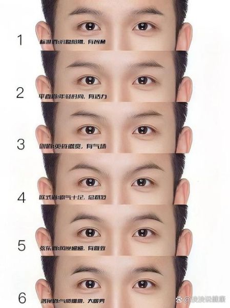 眉毛代表财运吗_眉毛与财富的关系