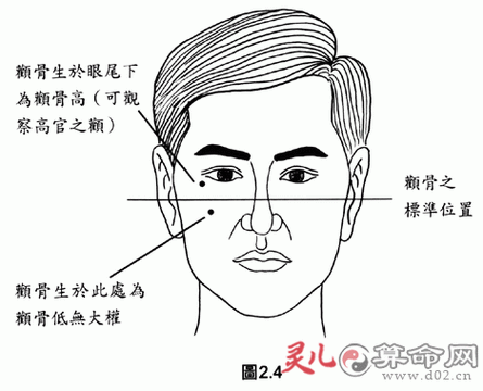 颧骨饱满的男人财运好吗_颧骨高与财富关系