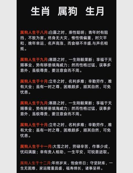 属狗人2017年运势详解_属狗2017年每月运势如何