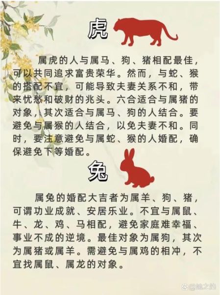 猪猴属相相配吗_猪猴婚姻能长久吗