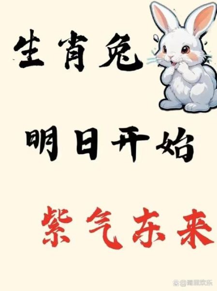 属兔六月运势如何_属兔六月注意事项