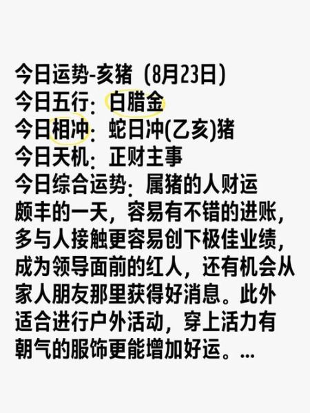 2017年属猪财运如何_属猪人2017年财运提升方法