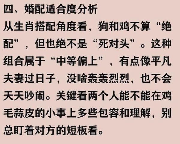 鸡和狗属相合不合_婚姻配对好吗