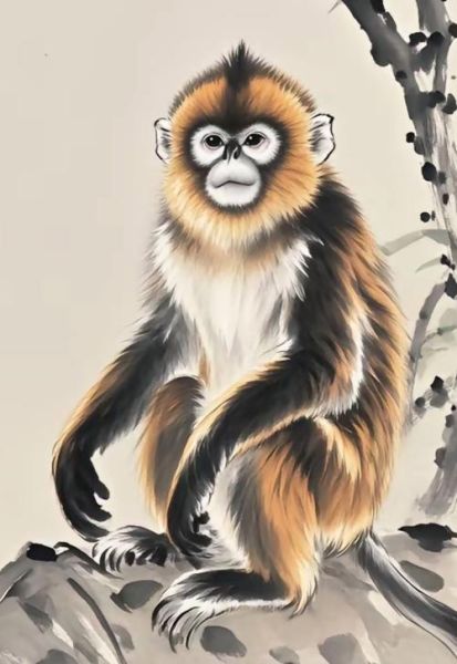 属猴37岁财运如何_属猴37岁财运提升方法