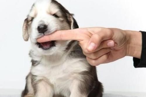 梦到自己过冰河_有什么预兆