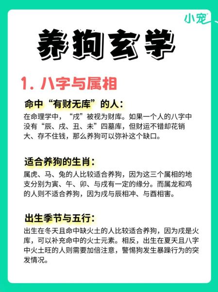 养狗真的能带来财运吗_如何挑选旺财犬种