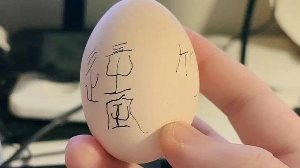 梦到鸡蛋是什么意思_梦到鸡蛋预示着什么