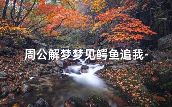 梦到打死鳄鱼_梦境解析