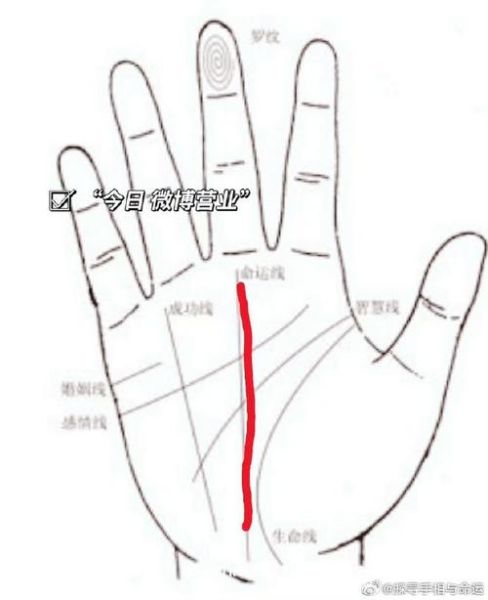 男人手相看财运图解_财运线怎么看