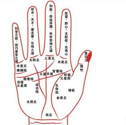 手纹财运线怎么看_手相财运课程靠谱吗