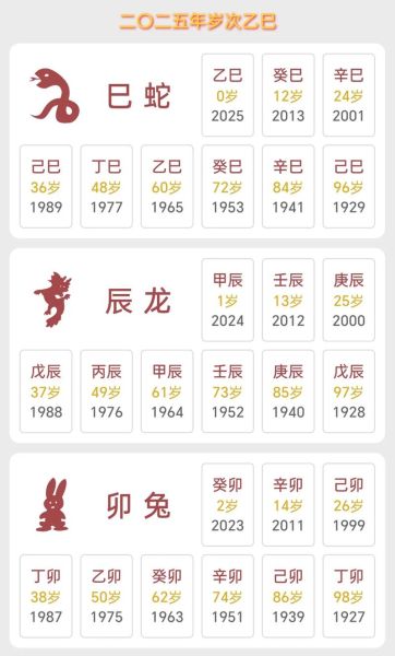 19岁属什么生肖_2025年虚岁19岁属什么
