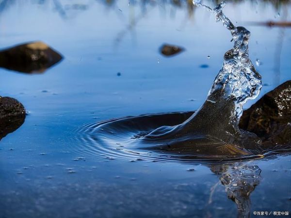 梦到水很绿_是什么预兆