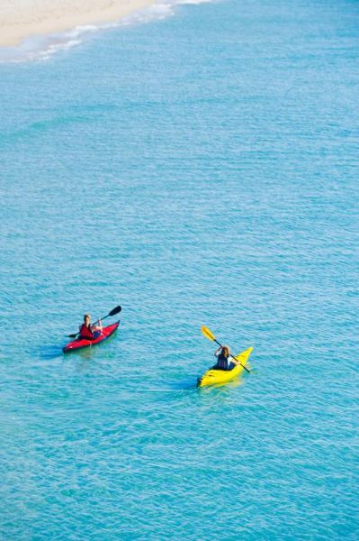 梦到划船比赛_代表什么含义