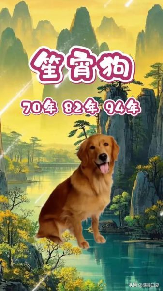 1994年属什么生肖_属狗人2024年运势如何