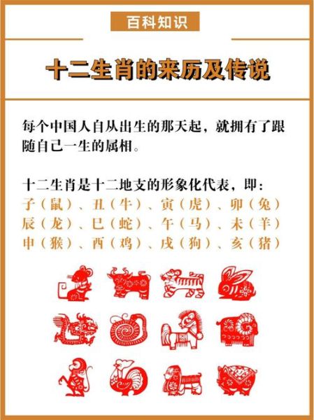 十二生肖分别是什么_属相一共有几种