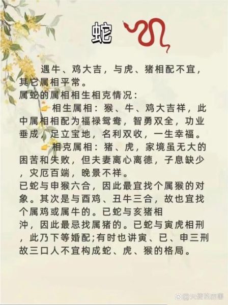 马和牛属相合不合_婚姻财运解析